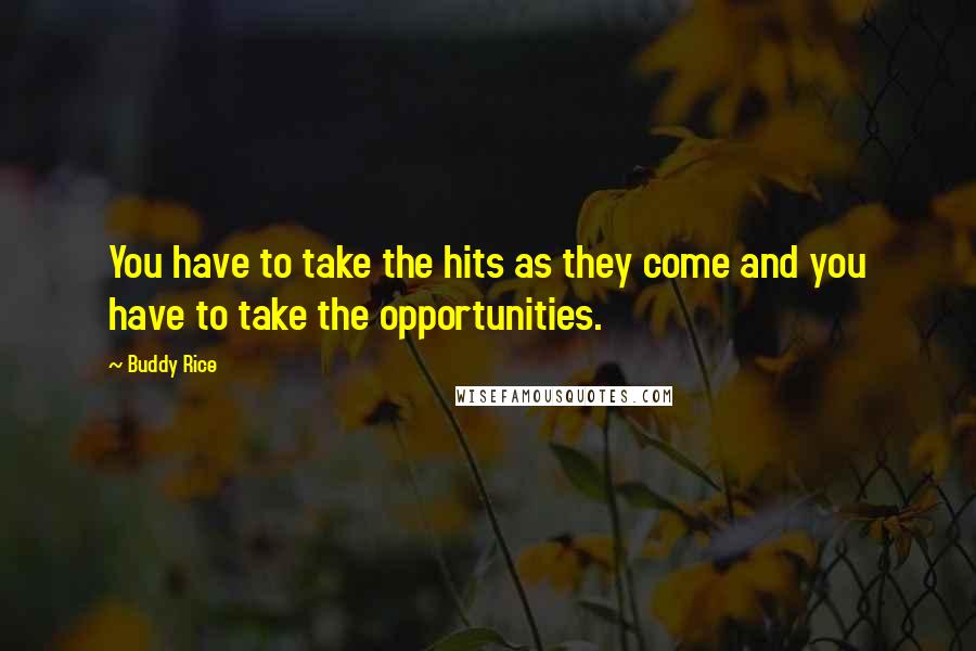 Buddy Rice Quotes: You have to take the hits as they come and you have to take the opportunities.