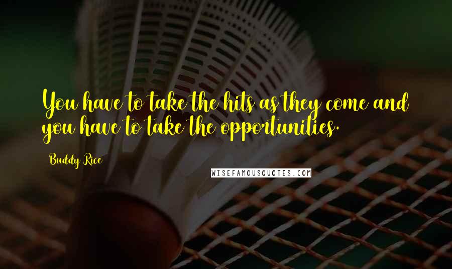 Buddy Rice Quotes: You have to take the hits as they come and you have to take the opportunities.