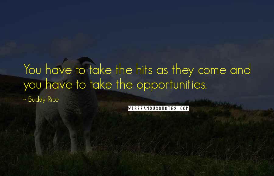 Buddy Rice Quotes: You have to take the hits as they come and you have to take the opportunities.