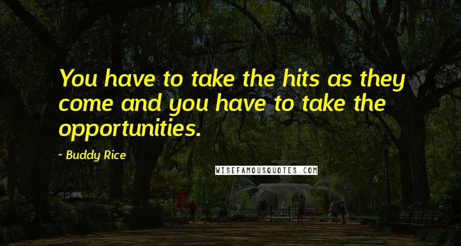 Buddy Rice Quotes: You have to take the hits as they come and you have to take the opportunities.