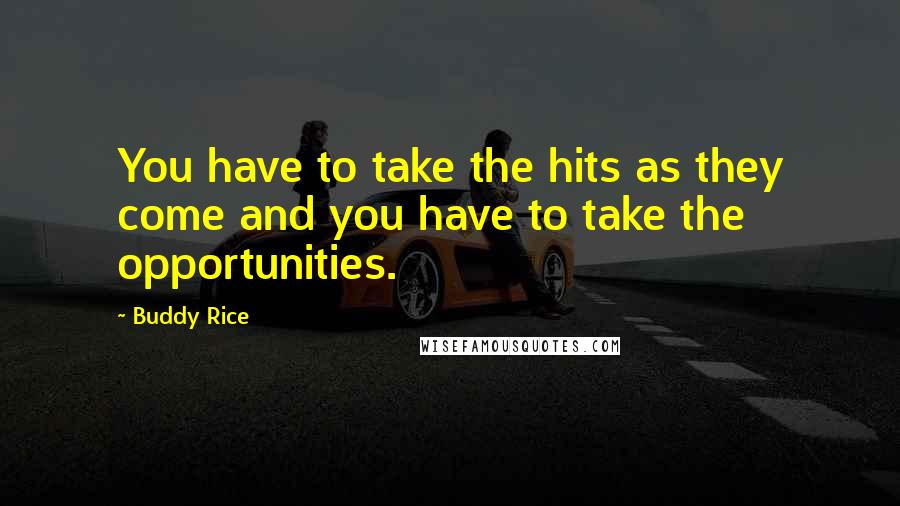 Buddy Rice Quotes: You have to take the hits as they come and you have to take the opportunities.