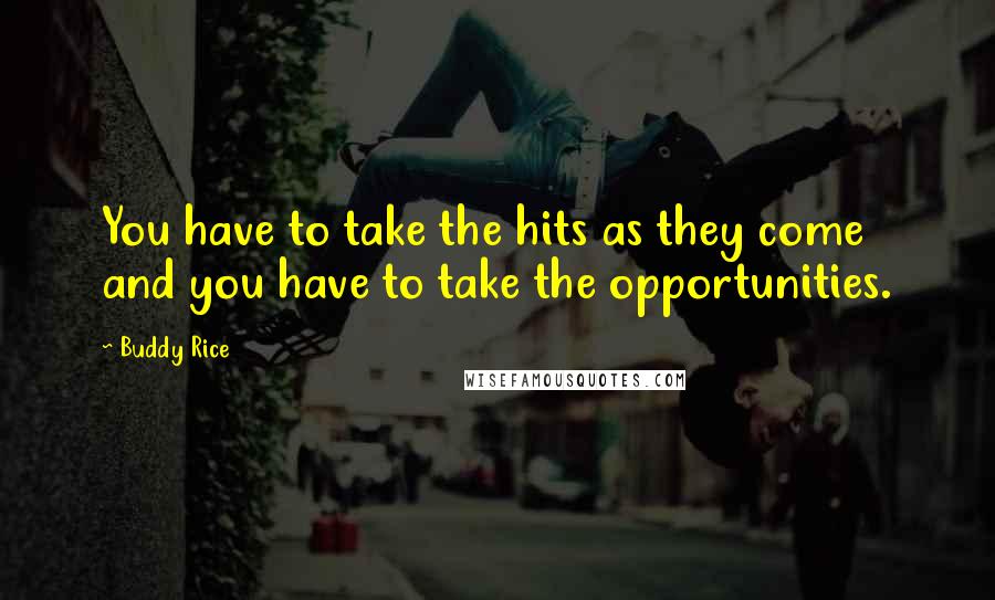 Buddy Rice Quotes: You have to take the hits as they come and you have to take the opportunities.