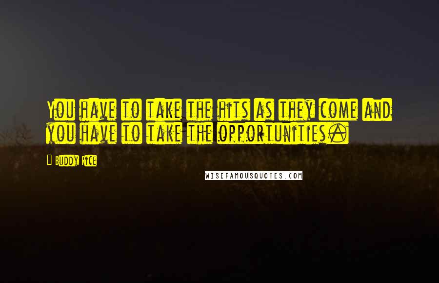 Buddy Rice Quotes: You have to take the hits as they come and you have to take the opportunities.