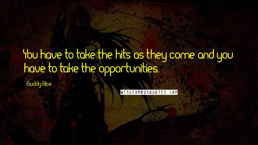 Buddy Rice Quotes: You have to take the hits as they come and you have to take the opportunities.