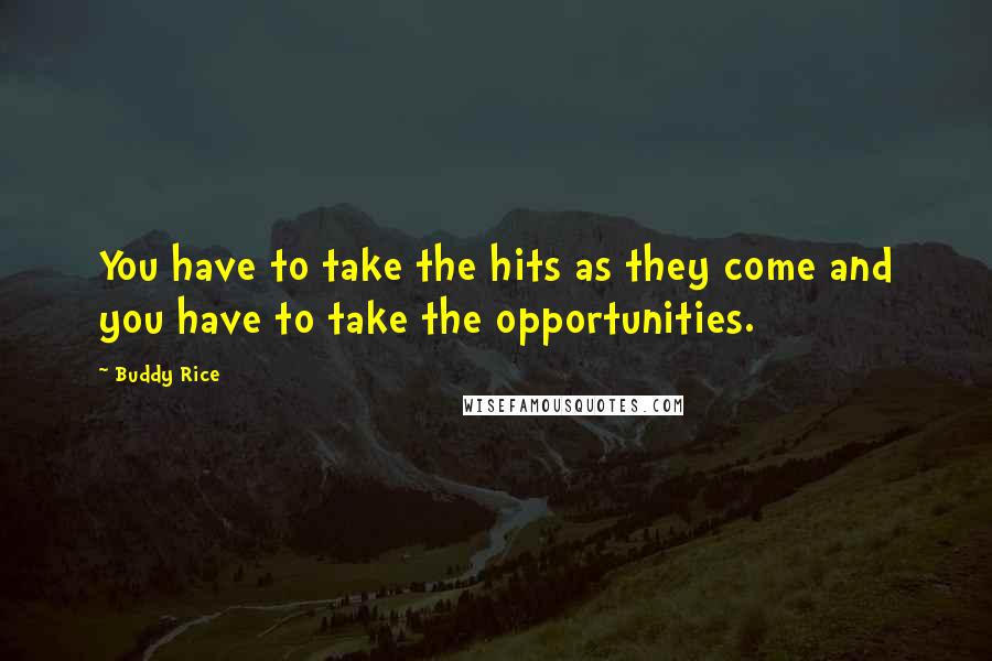 Buddy Rice Quotes: You have to take the hits as they come and you have to take the opportunities.