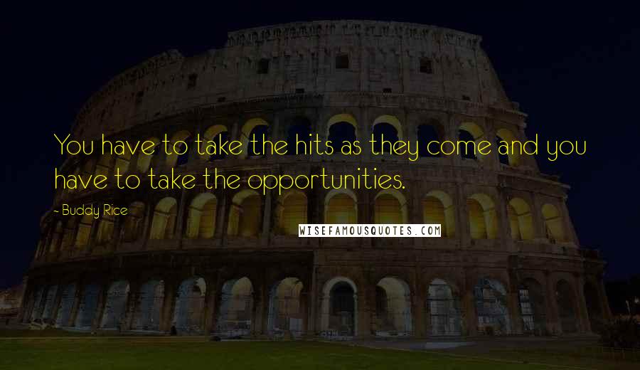 Buddy Rice Quotes: You have to take the hits as they come and you have to take the opportunities.