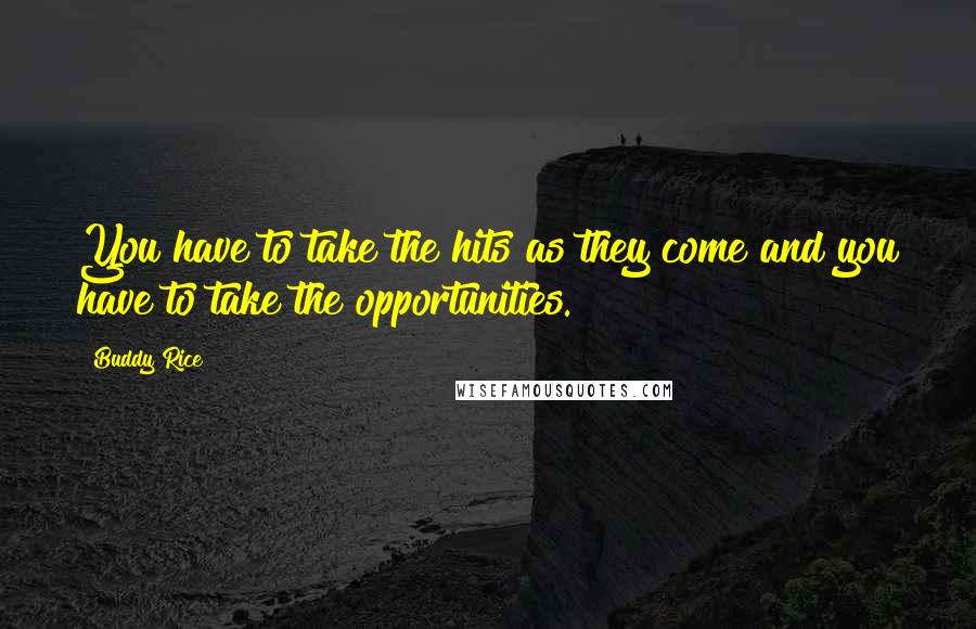 Buddy Rice Quotes: You have to take the hits as they come and you have to take the opportunities.