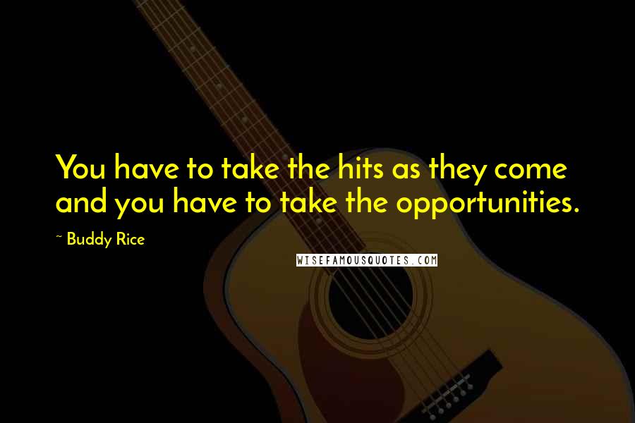 Buddy Rice Quotes: You have to take the hits as they come and you have to take the opportunities.