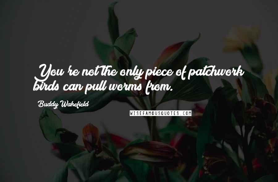 Buddy Wakefield Quotes: You're not the only piece of patchwork birds can pull worms from.