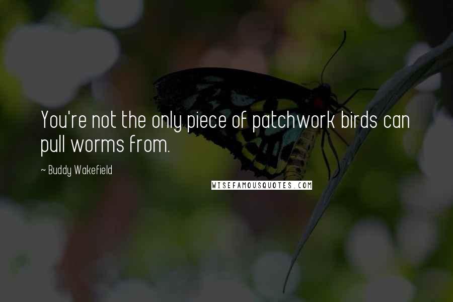 Buddy Wakefield Quotes: You're not the only piece of patchwork birds can pull worms from.