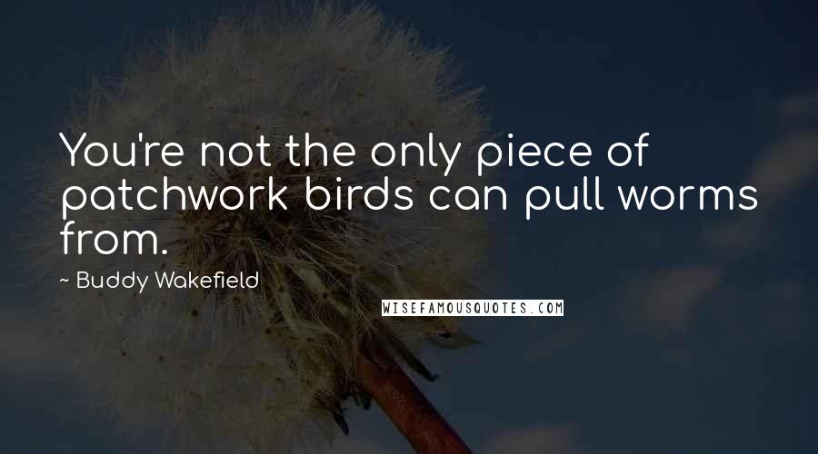 Buddy Wakefield Quotes: You're not the only piece of patchwork birds can pull worms from.