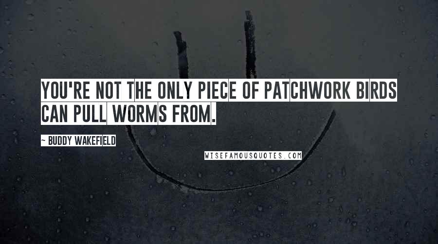 Buddy Wakefield Quotes: You're not the only piece of patchwork birds can pull worms from.