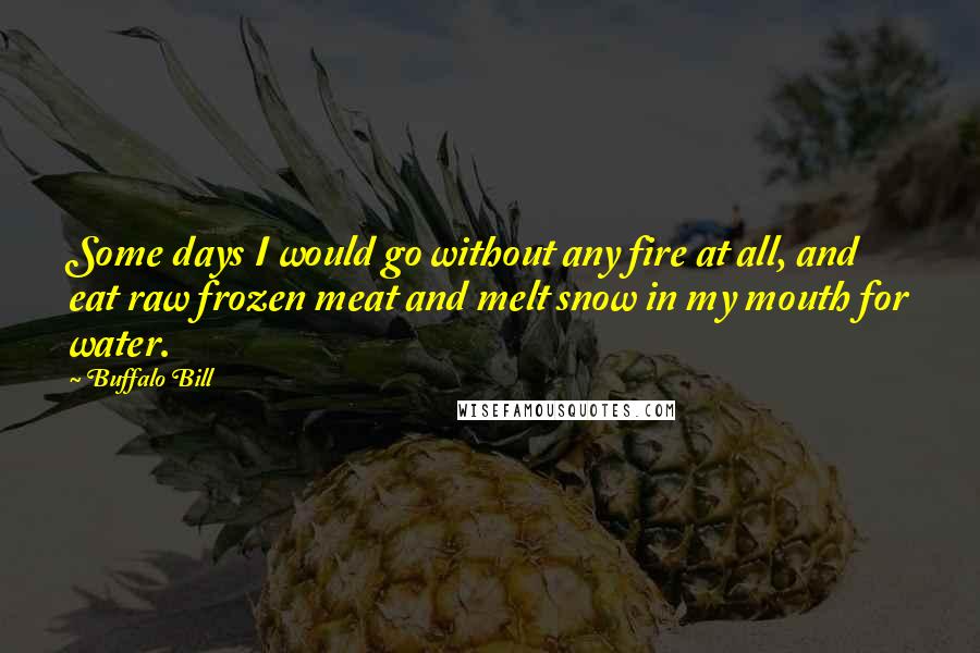 Buffalo Bill Quotes: Some days I would go without any fire at all, and eat raw frozen meat and melt snow in my mouth for water.