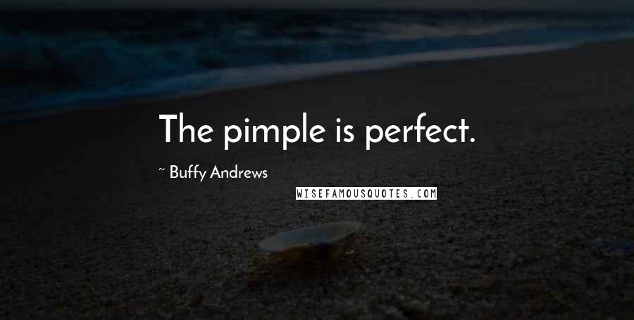 Buffy Andrews Quotes: The pimple is perfect.