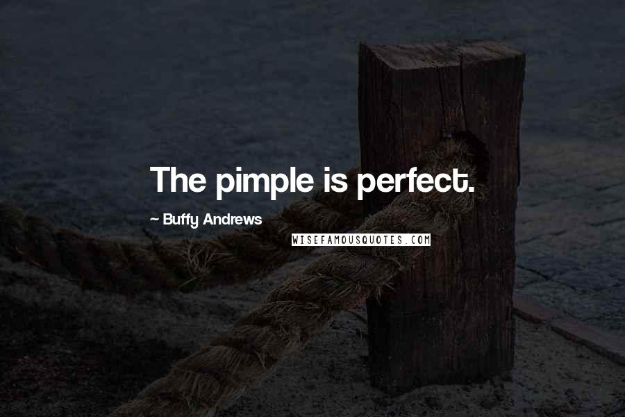 Buffy Andrews Quotes: The pimple is perfect.