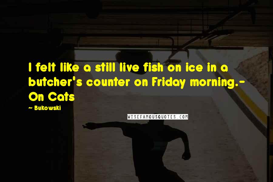 Bukowski Quotes: I felt like a still live fish on ice in a butcher's counter on Friday morning.- On Cats