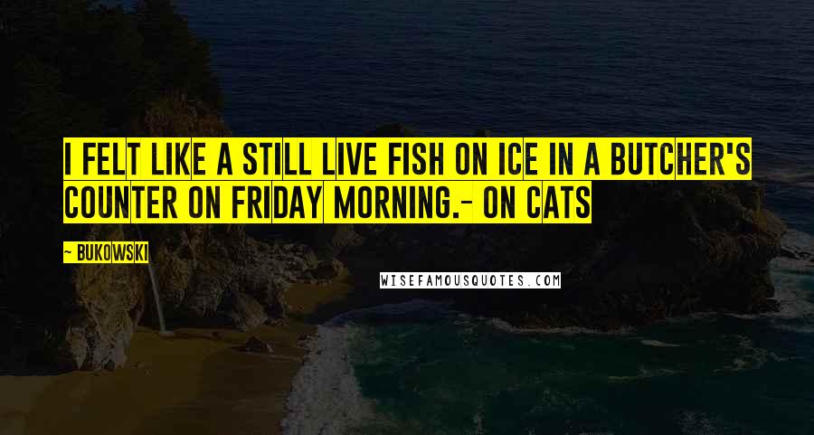 Bukowski Quotes: I felt like a still live fish on ice in a butcher's counter on Friday morning.- On Cats