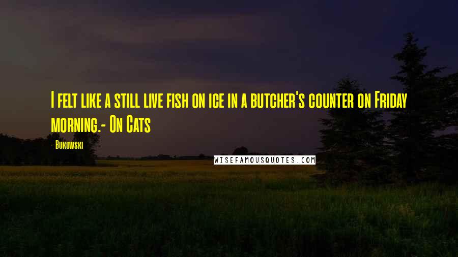 Bukowski Quotes: I felt like a still live fish on ice in a butcher's counter on Friday morning.- On Cats