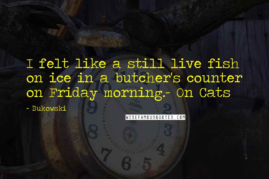 Bukowski Quotes: I felt like a still live fish on ice in a butcher's counter on Friday morning.- On Cats