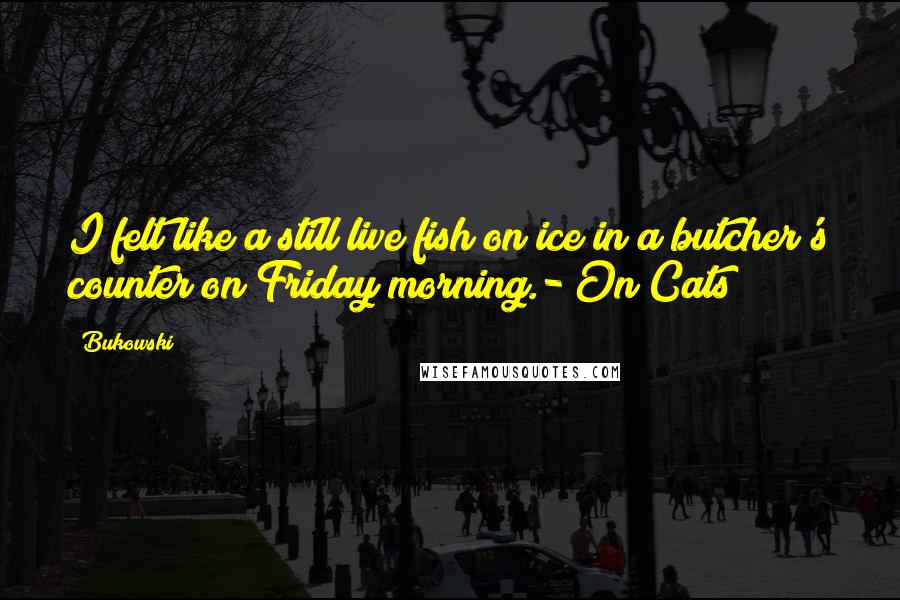 Bukowski Quotes: I felt like a still live fish on ice in a butcher's counter on Friday morning.- On Cats