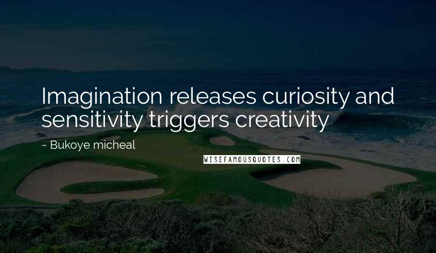 Bukoye Micheal Quotes: Imagination releases curiosity and sensitivity triggers creativity