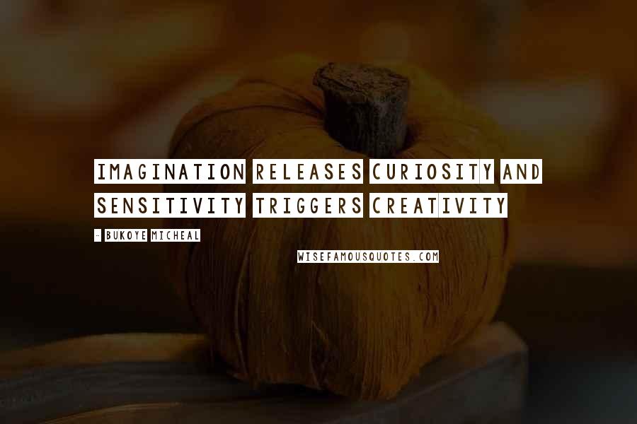 Bukoye Micheal Quotes: Imagination releases curiosity and sensitivity triggers creativity