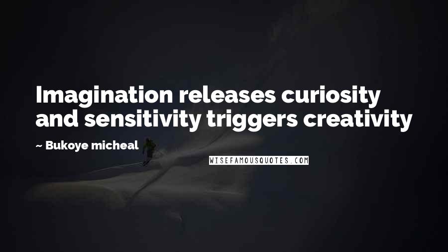 Bukoye Micheal Quotes: Imagination releases curiosity and sensitivity triggers creativity