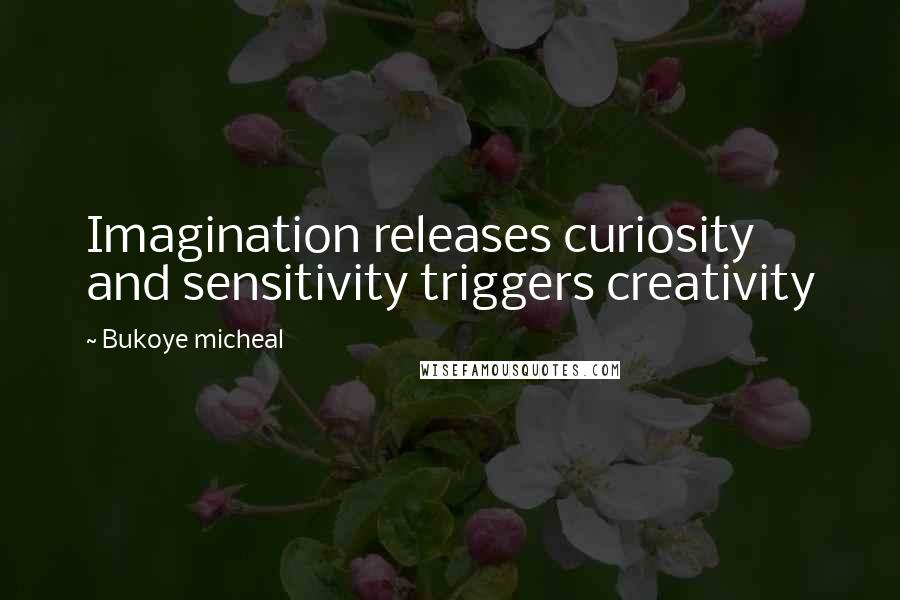 Bukoye Micheal Quotes: Imagination releases curiosity and sensitivity triggers creativity