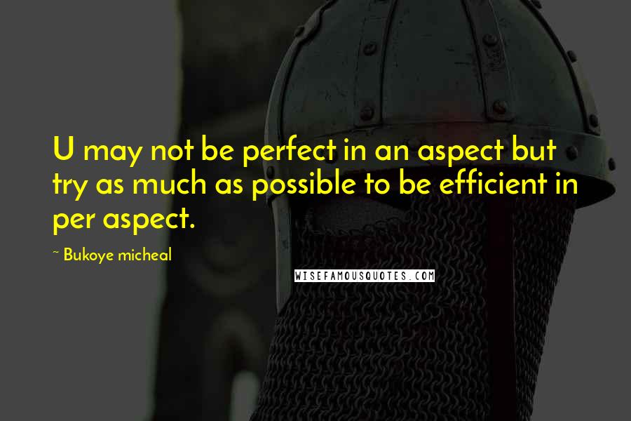 Bukoye Micheal Quotes: U may not be perfect in an aspect but try as much as possible to be efficient in per aspect.