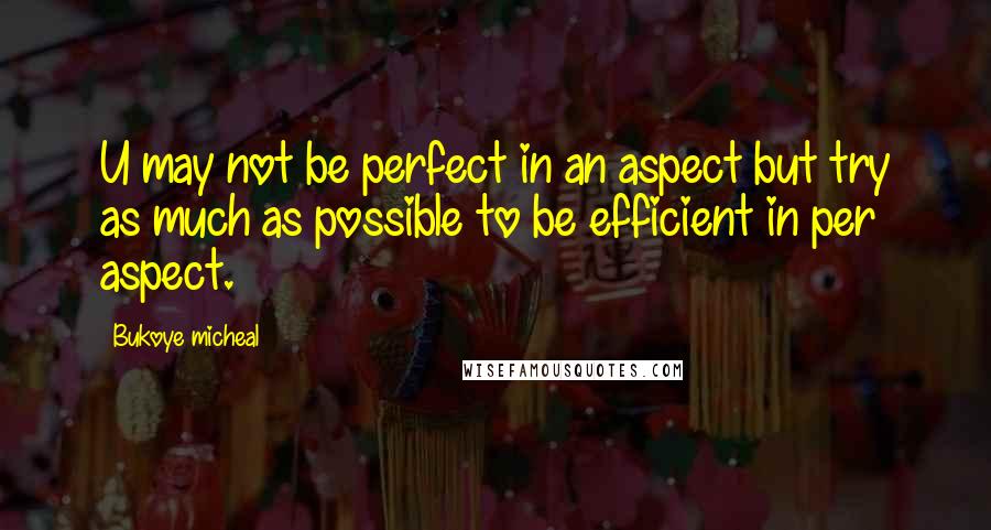 Bukoye Micheal Quotes: U may not be perfect in an aspect but try as much as possible to be efficient in per aspect.