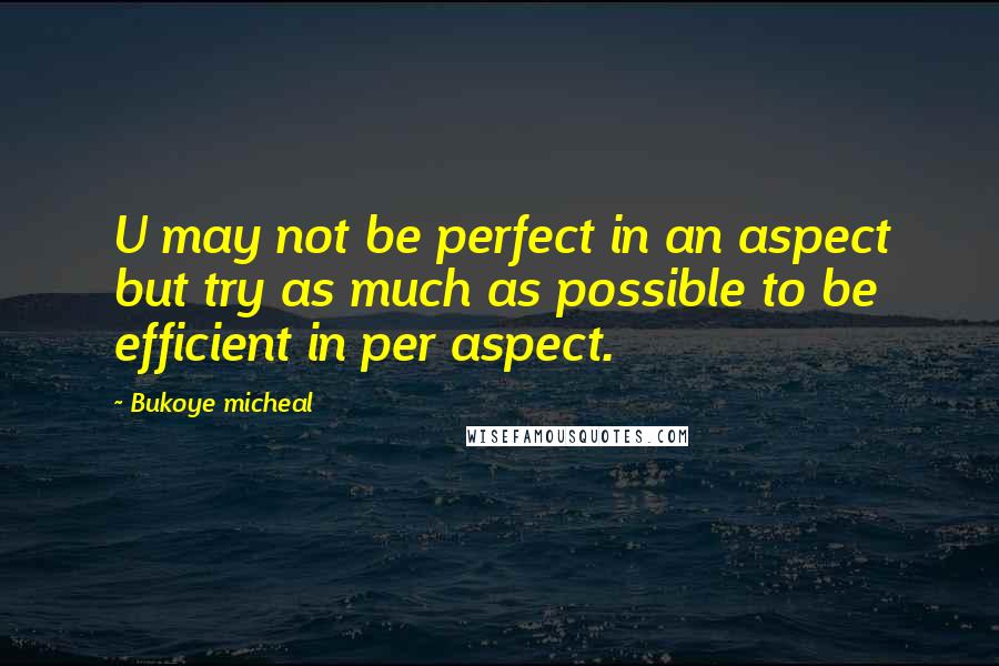 Bukoye Micheal Quotes: U may not be perfect in an aspect but try as much as possible to be efficient in per aspect.