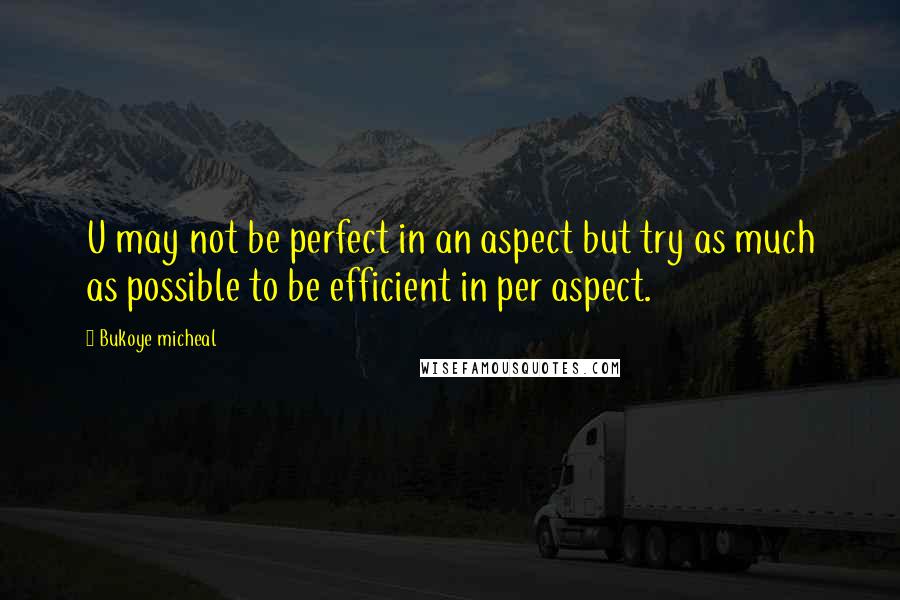 Bukoye Micheal Quotes: U may not be perfect in an aspect but try as much as possible to be efficient in per aspect.