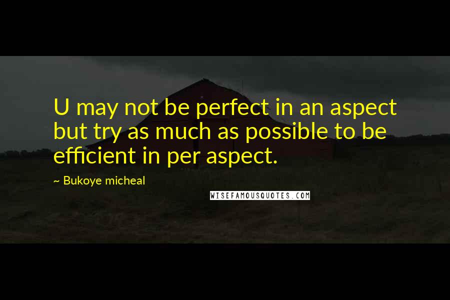 Bukoye Micheal Quotes: U may not be perfect in an aspect but try as much as possible to be efficient in per aspect.