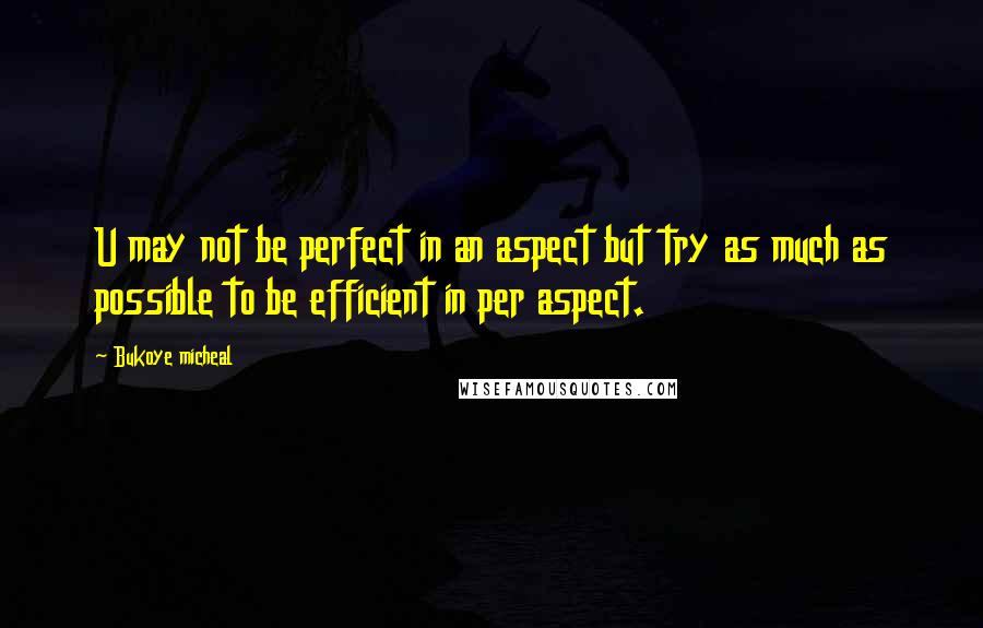 Bukoye Micheal Quotes: U may not be perfect in an aspect but try as much as possible to be efficient in per aspect.