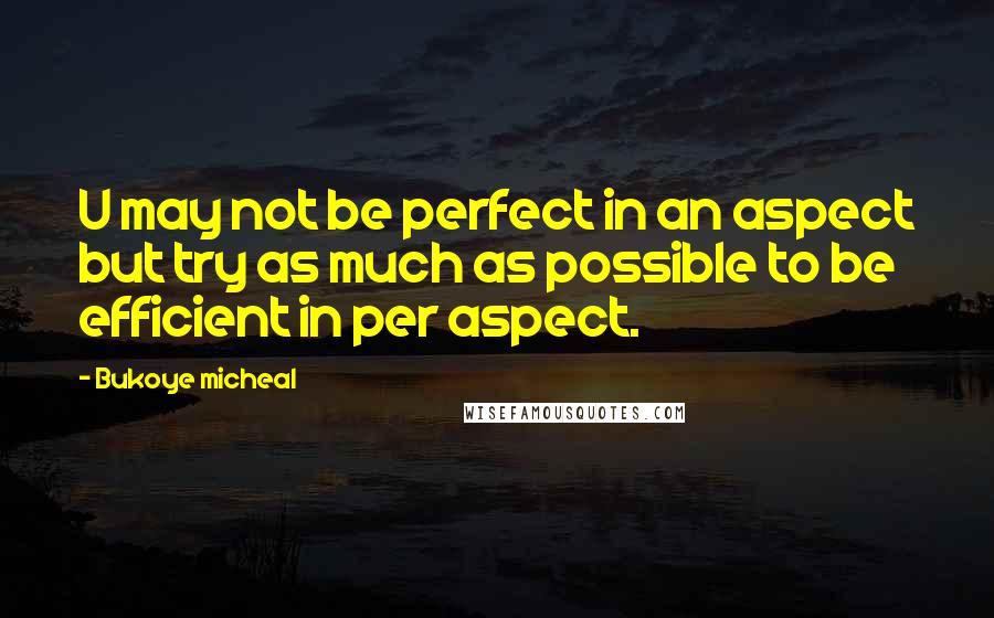 Bukoye Micheal Quotes: U may not be perfect in an aspect but try as much as possible to be efficient in per aspect.