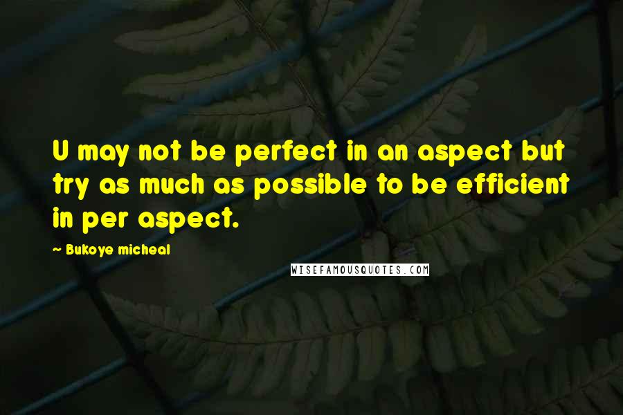Bukoye Micheal Quotes: U may not be perfect in an aspect but try as much as possible to be efficient in per aspect.