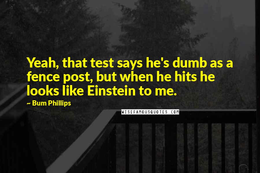 Bum Phillips Quotes: Yeah, that test says he's dumb as a fence post, but when he hits he looks like Einstein to me.