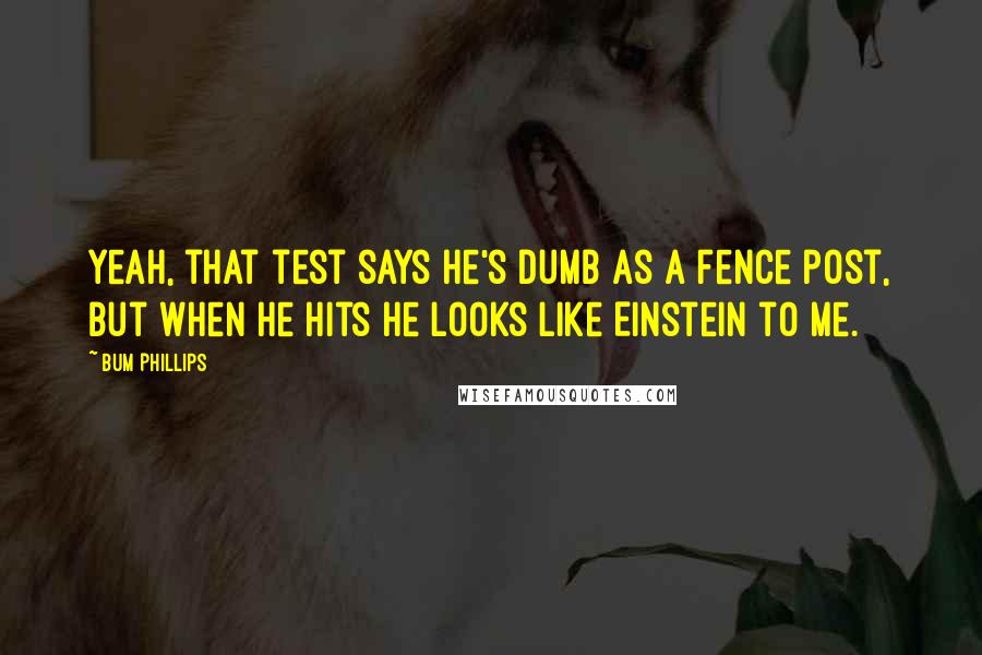 Bum Phillips Quotes: Yeah, that test says he's dumb as a fence post, but when he hits he looks like Einstein to me.