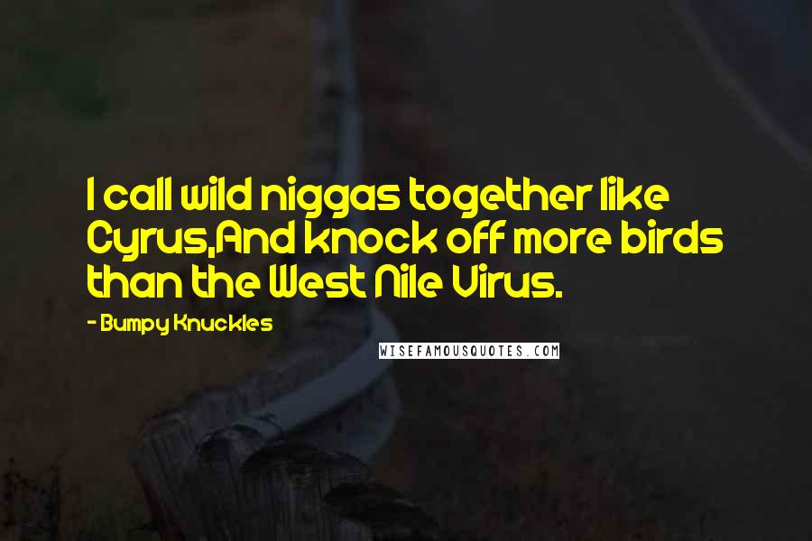 Bumpy Knuckles Quotes: I call wild niggas together like Cyrus,And knock off more birds than the West Nile Virus.