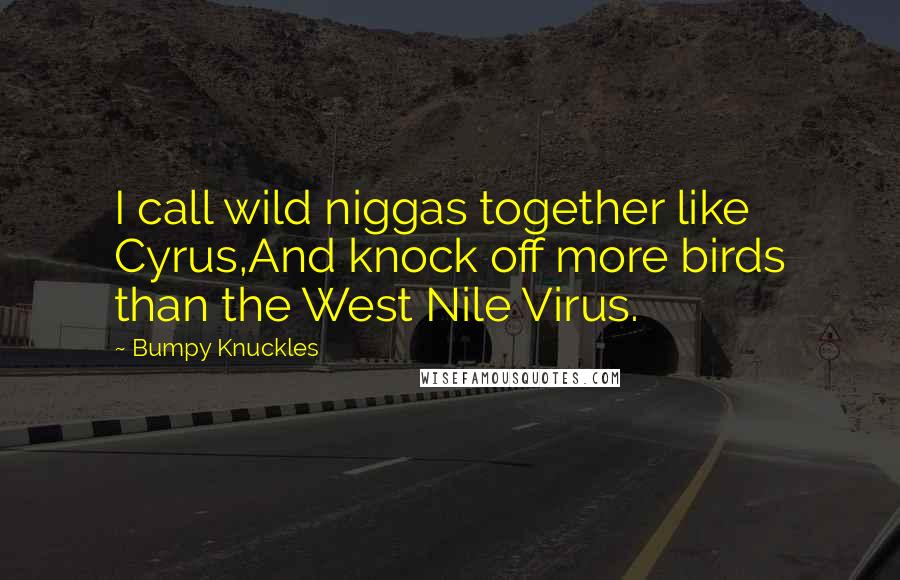 Bumpy Knuckles Quotes: I call wild niggas together like Cyrus,And knock off more birds than the West Nile Virus.