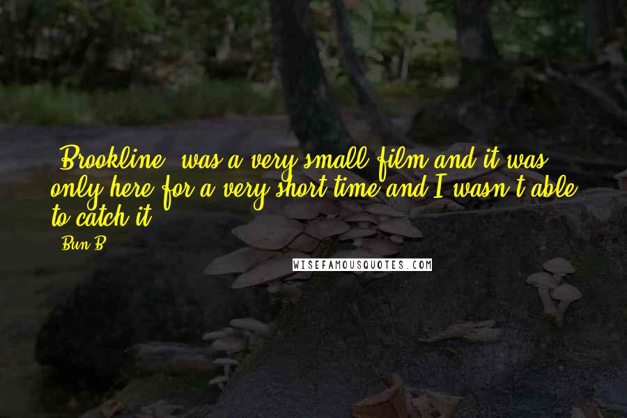 Bun B. Quotes: 'Brookline' was a very small film and it was only here for a very short time and I wasn't able to catch it.