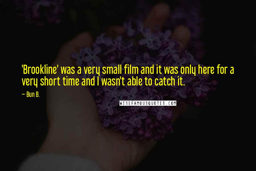 Bun B. Quotes: 'Brookline' was a very small film and it was only here for a very short time and I wasn't able to catch it.