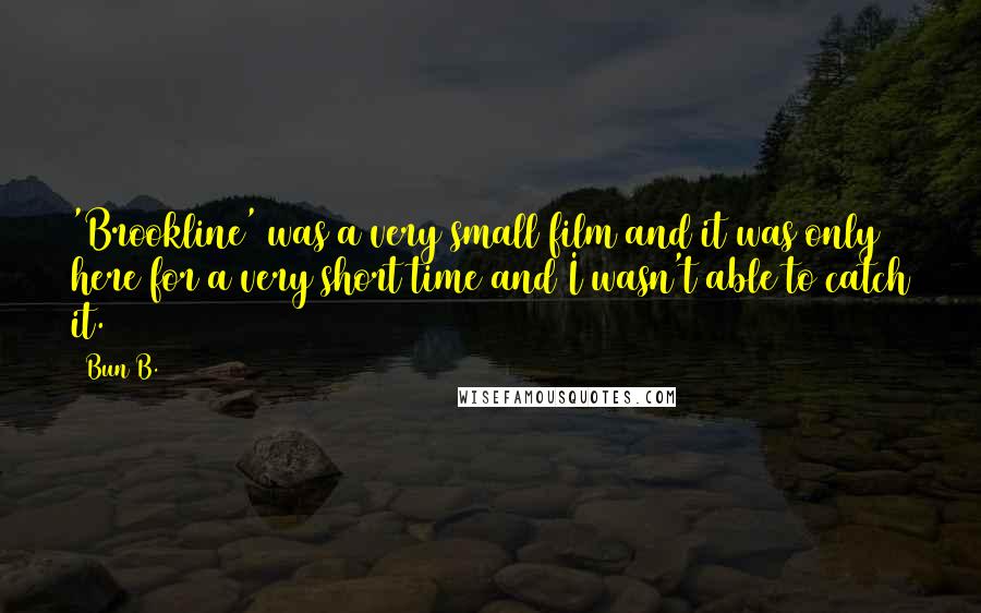 Bun B. Quotes: 'Brookline' was a very small film and it was only here for a very short time and I wasn't able to catch it.