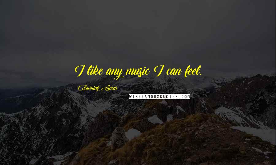 Burning Spear Quotes: I like any music I can feel.