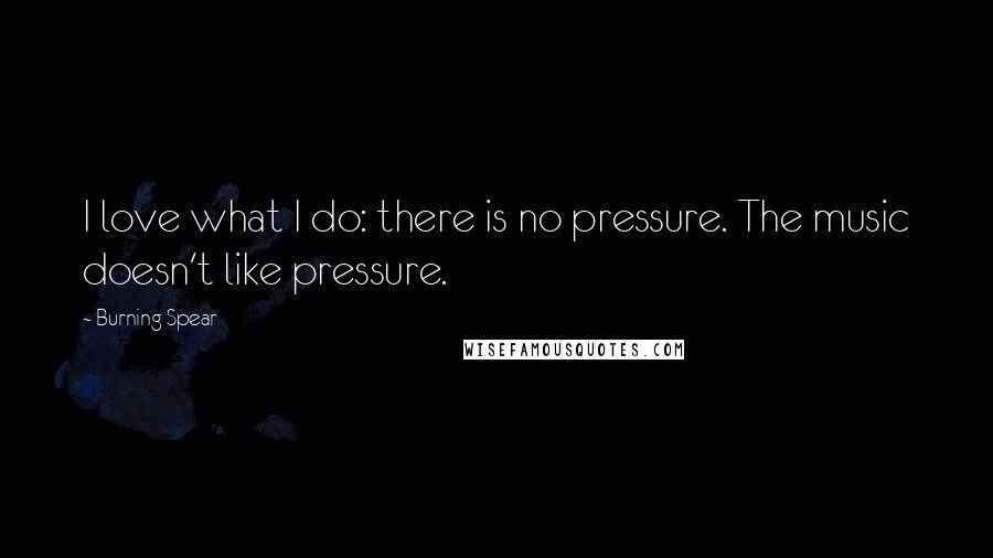 Burning Spear Quotes: I love what I do: there is no pressure. The music doesn't like pressure.