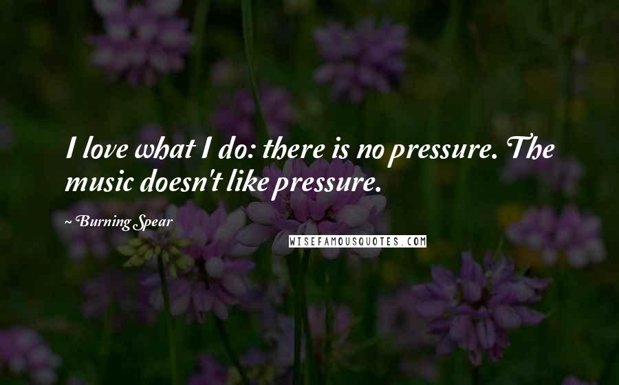 Burning Spear Quotes: I love what I do: there is no pressure. The music doesn't like pressure.