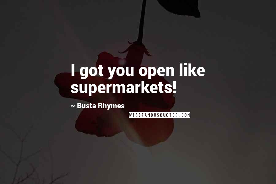 Busta Rhymes Quotes: I got you open like supermarkets!