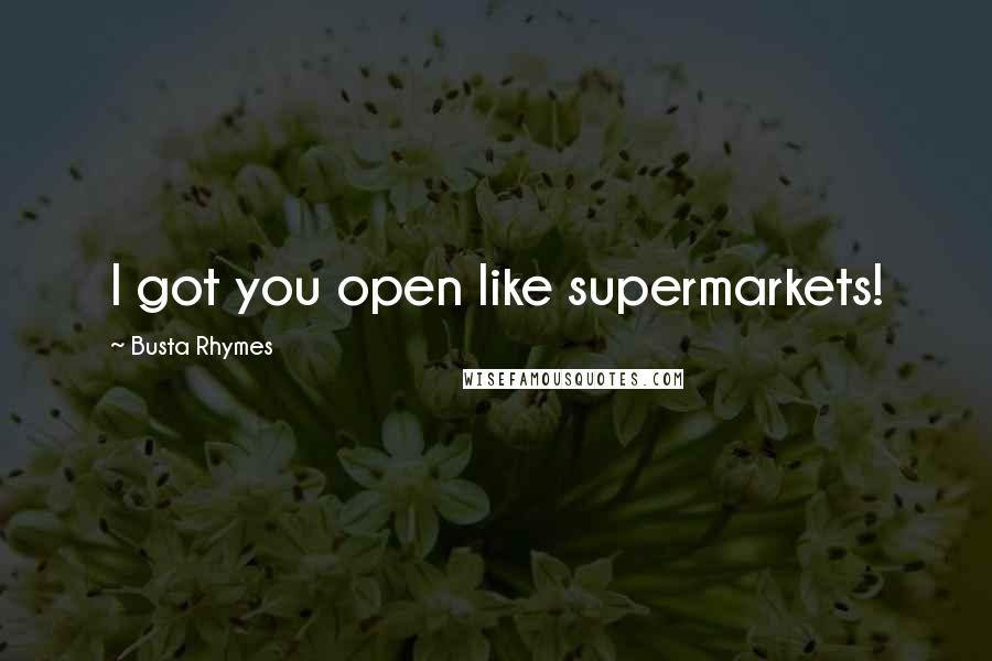 Busta Rhymes Quotes: I got you open like supermarkets!