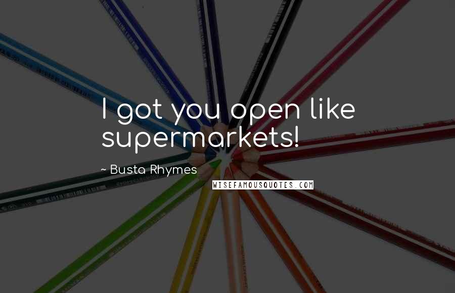 Busta Rhymes Quotes: I got you open like supermarkets!