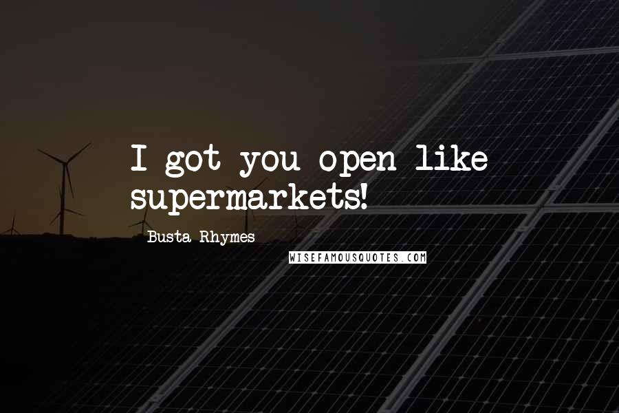 Busta Rhymes Quotes: I got you open like supermarkets!